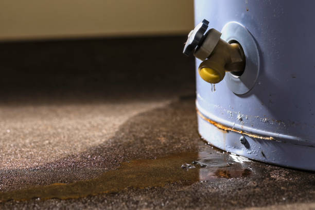 Best Water damage contractors near me  in Latta, OK