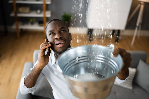 Best Professional water damage repair  in Latta, OK