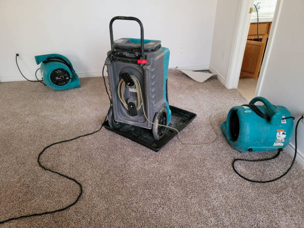 Best Water damage restoration near me  in Latta, OK