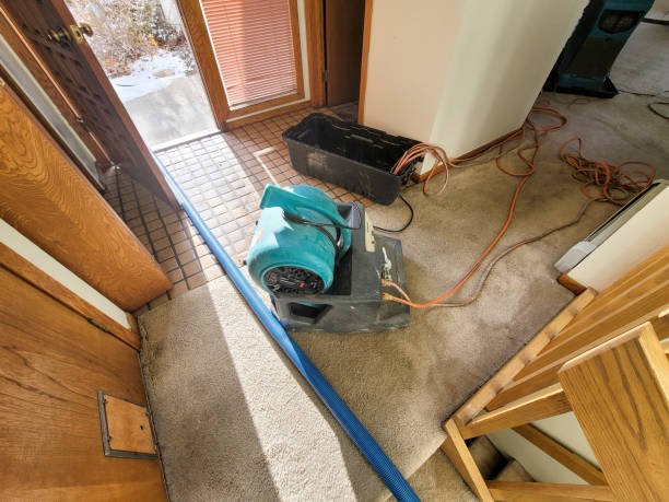 Best Emergency water damage restoration  in Latta, OK