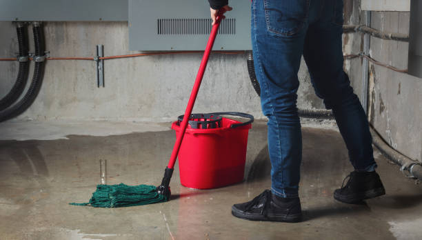 Best Water damage cleanup near me  in Latta, OK
