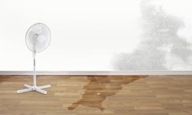 Best Water damage repair service  in Latta, OK