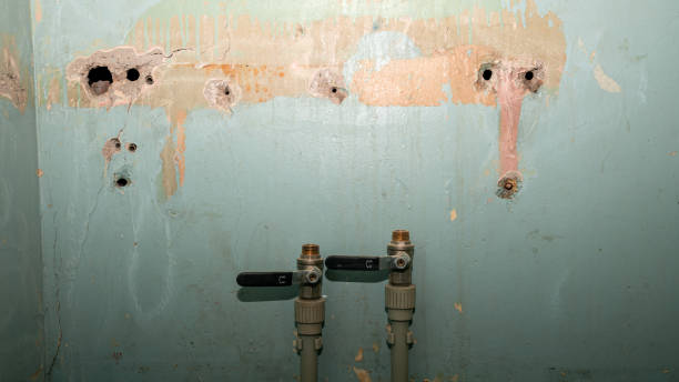 Best Basement water damage restoration  in Latta, OK