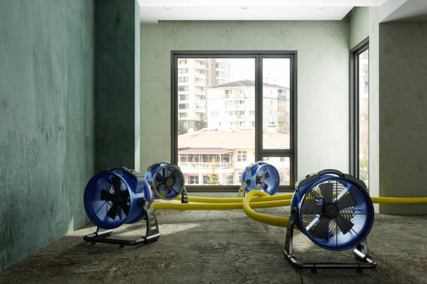 Best Carpet water damage restoration  in Latta, OK