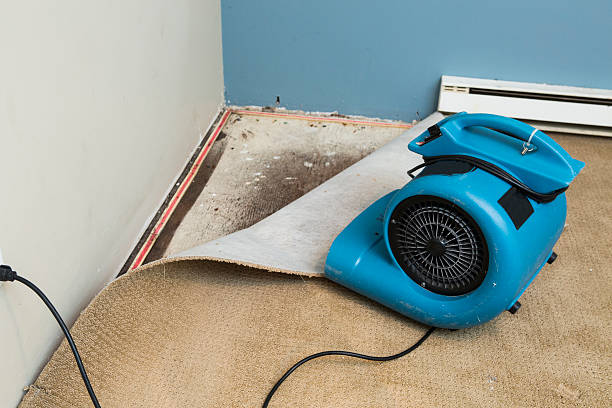 Best Local water damage restoration  in Latta, OK